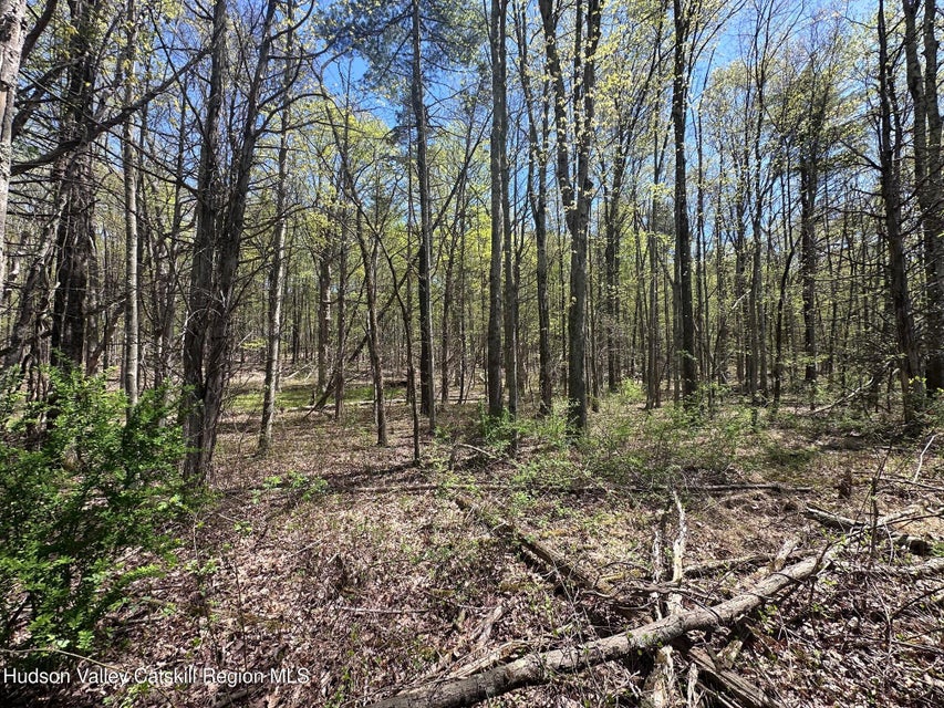 17.5 Acres Bordering the Thruway