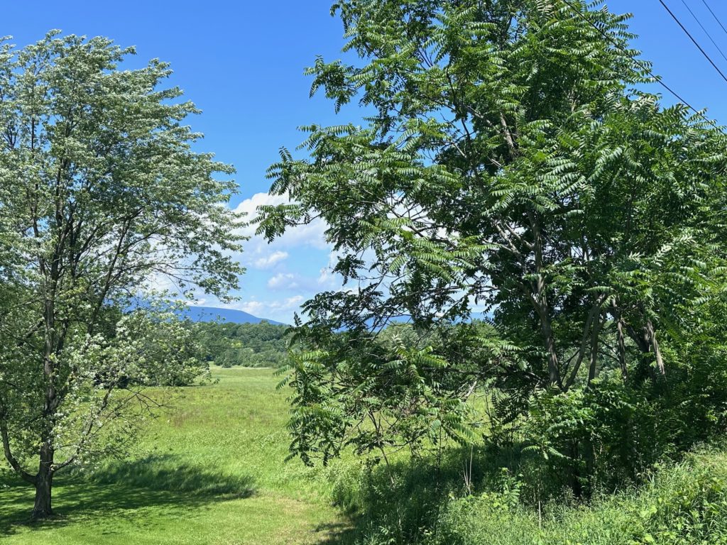 West Camp Land